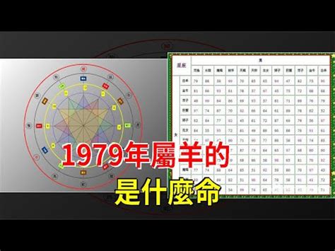 1979 羊 五行